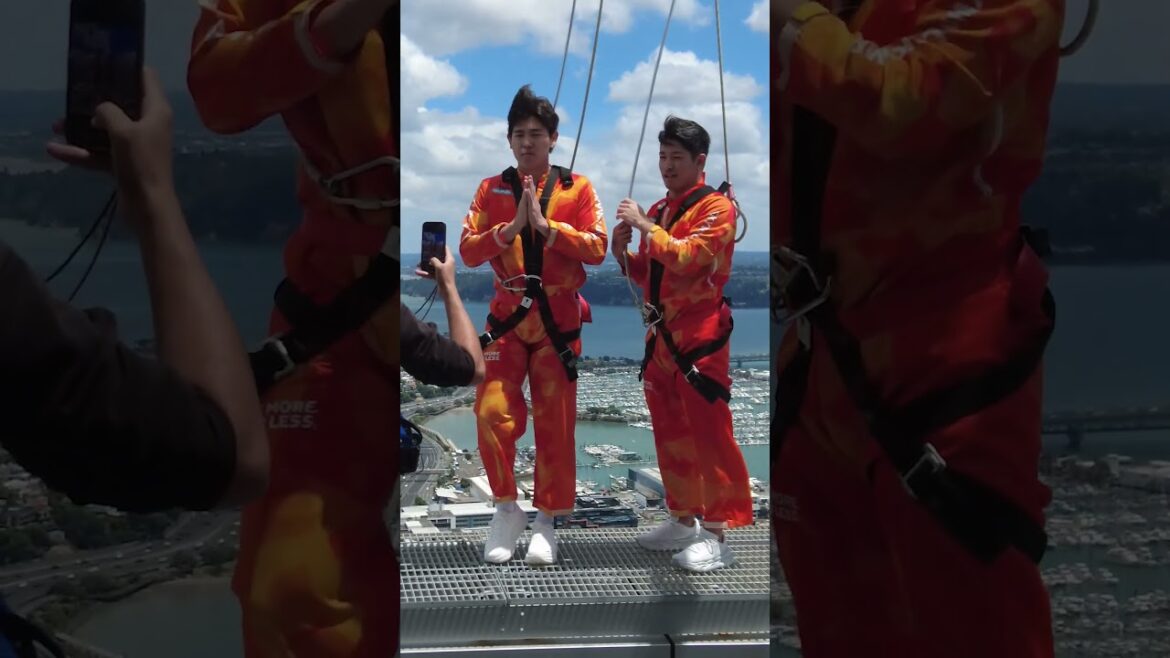 ニュージーランドで度胸をつけた安田尚憲選手 #chibalotte