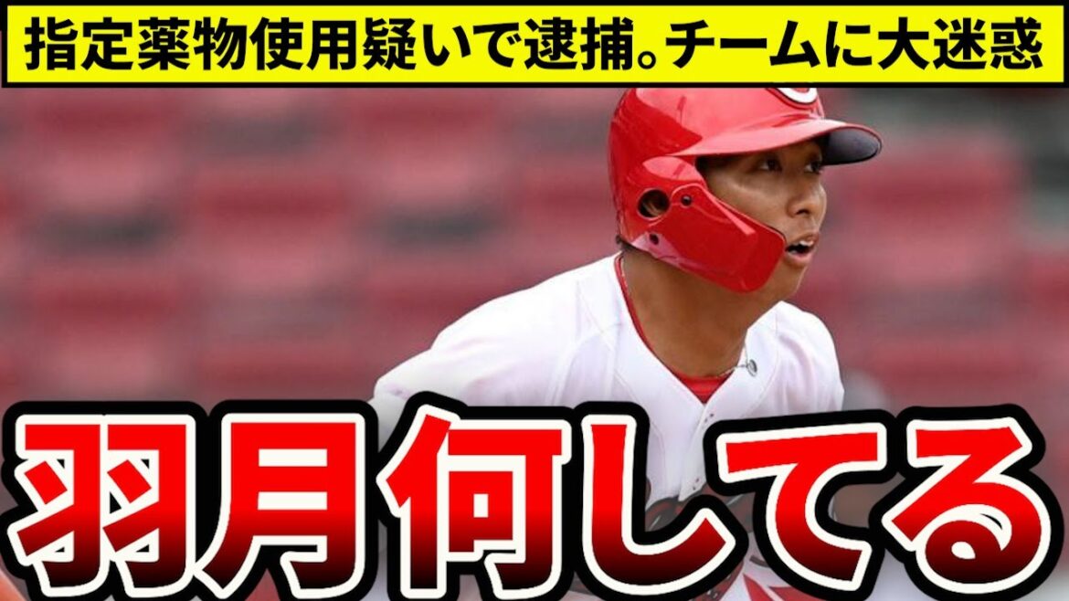 【緊急】広島・羽月何やってんの？キャンプイン前に衝撃ニュース【広島東洋カープ】