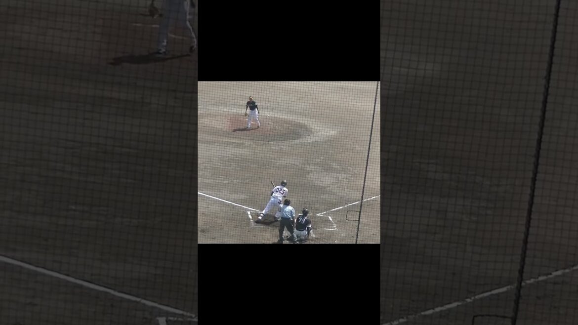 岡本大翔がヒットを放つ（読売ジャイアンツ3軍 対 ソフトバンクホークス3軍 2024年9月2日）