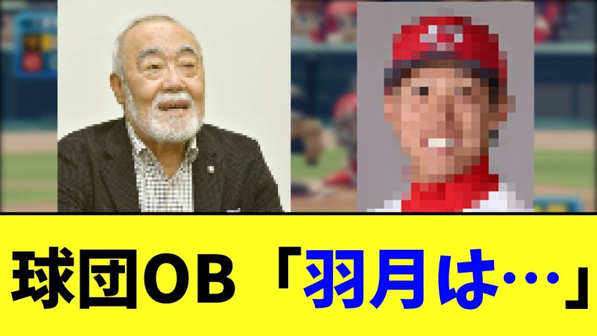 【カープ速報】球団OBが羽月についてコメント…【2ch 5ch なんJ 反応】