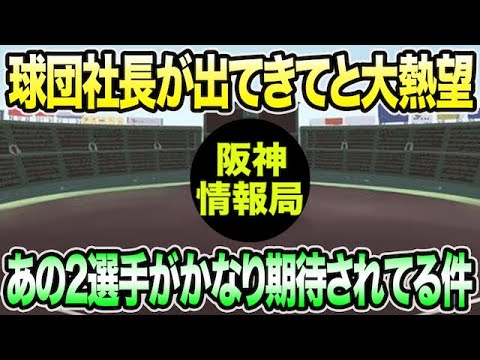 【球団社長が出てきてと大熱望】やっぱりあの2選手がめちゃくちゃ期待されてる件について【阪神タイガース】 【球団社長が出てきてと大熱望】やっぱりあの2選手がめちゃくちゃ期待されてる件について【阪神タイガース】