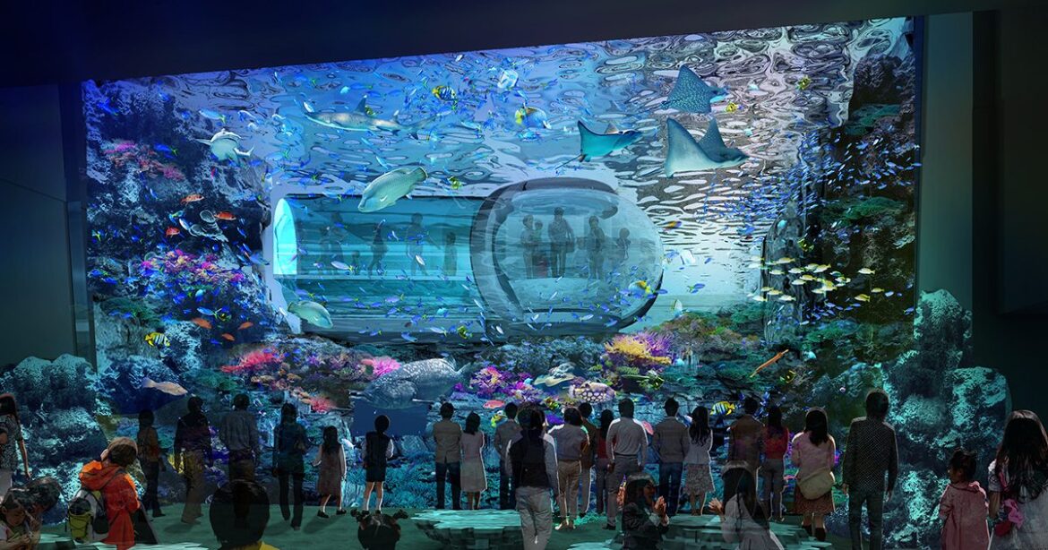 東京ジャイアンツタウンの新水族館に「国頭サンゴ」　国内最大規模の水槽に　国頭村と漁協、よみうりランドが連携協定