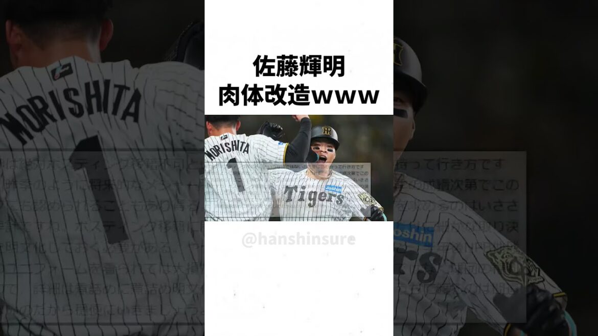 【阪神】佐藤輝明、肉体改造に成功し契約更改に失敗してしまうｗｗｗｗｗ #shorts