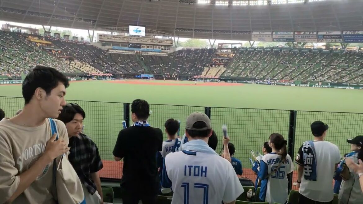 2024.06.25  日本ハムファイターズ　1-9　　