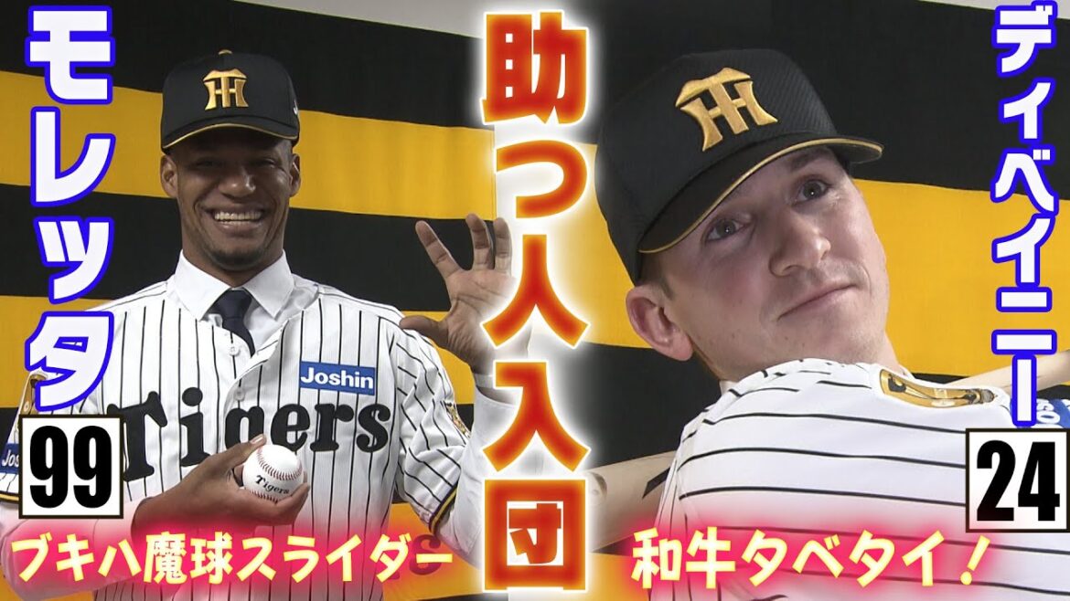 【新助っ人加入】剛腕モレッタ・即戦力内野手ディベイニーが入団会見！日本への愛と今シーズンへの抱負を語った！阪神タイガース密着！応援番組「虎バン」ABCテレビ公式チャンネル