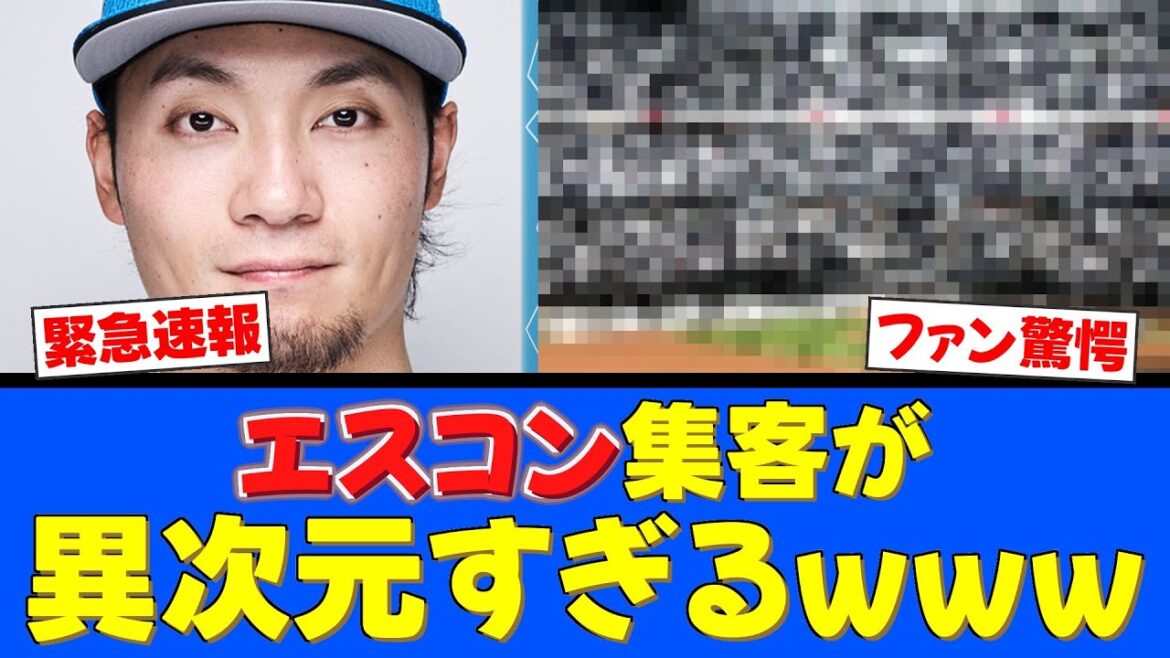 【異次元】日ハム・エスコンの集客力がヤバすぎるw野球をしない日の方が人が来る謎事態にファン驚愕！