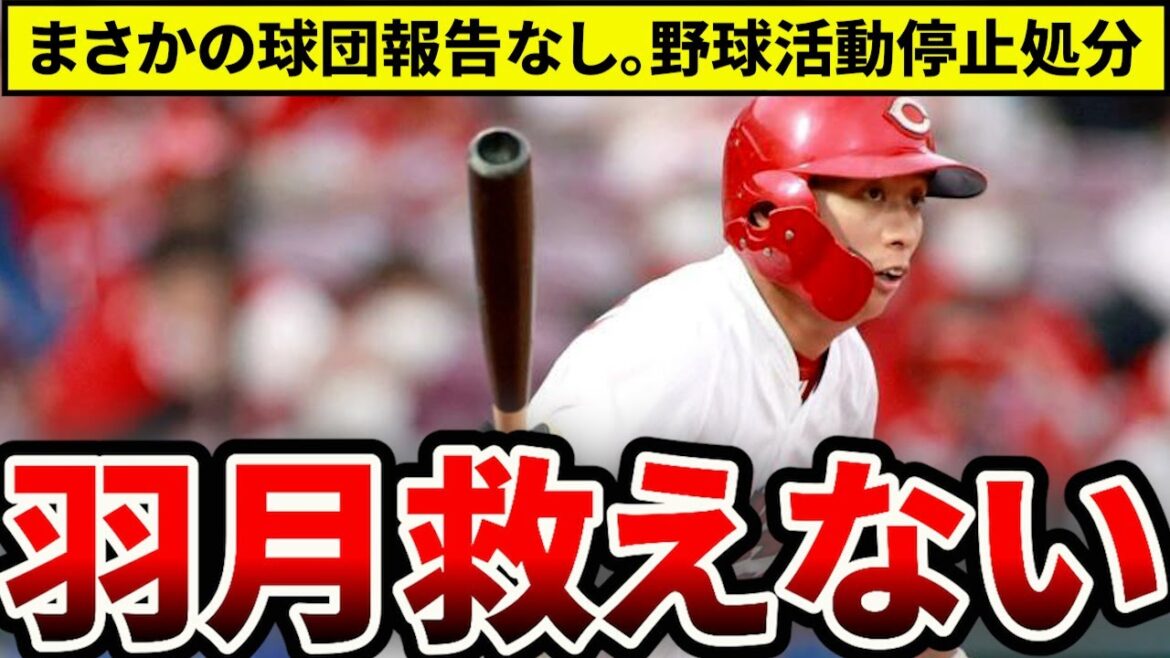 【広島】羽月救えない。野球活動停止処分に。球団に報告なしのあり得ない行動。新井監督や島内選手会長らのコメントも【広島東洋カープ】