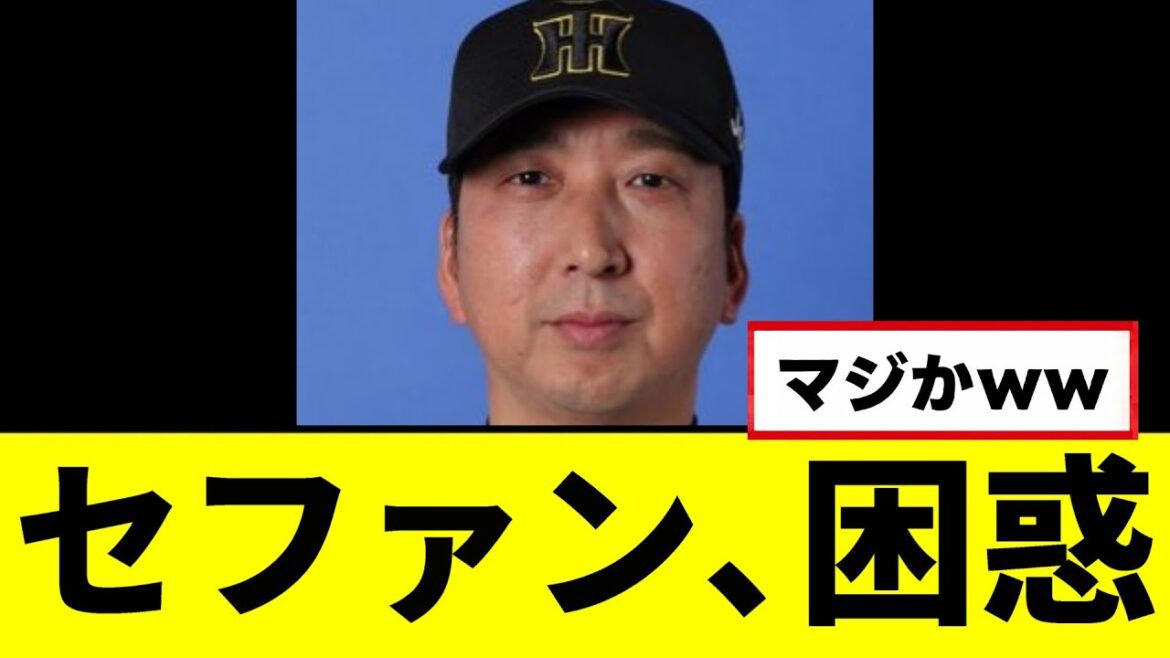 【悲報】セファン、流石に困惑し始めるｗｗｗｗｗ