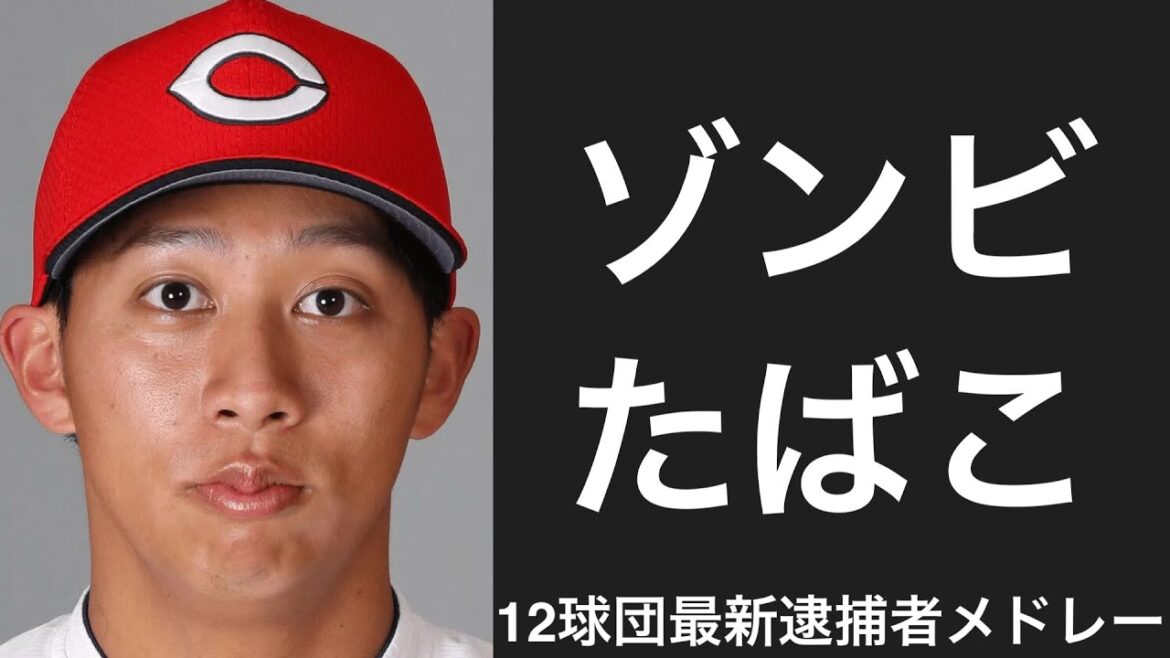 12球団最後の逮捕者応援歌メドレー 2026ver