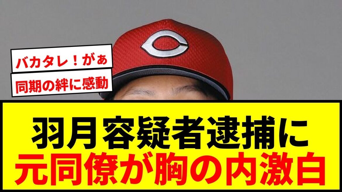 【衝撃】羽月隆太郎容疑者逮捕で元同僚が胸の内激白！「次会ったらビンタする」広島ファン騒然