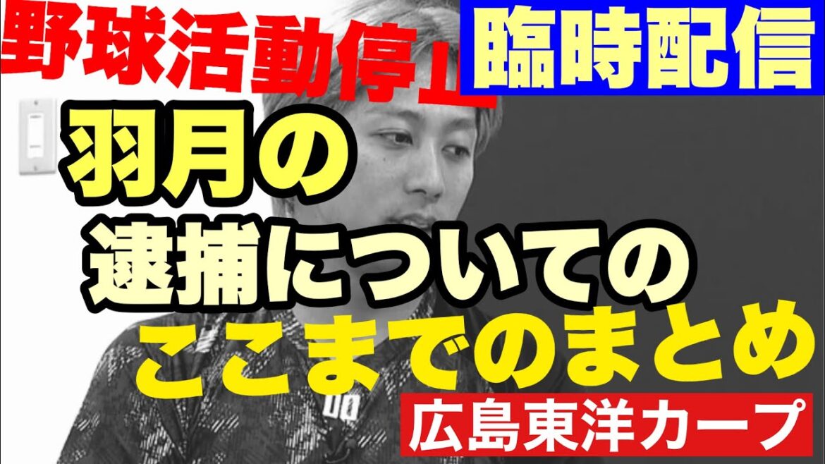 【広島東洋カープ】羽月は今回の逮捕で、野球活動停止となりました　残念でなりません　【羽月隆太郎】【島内颯太郎】【新井貴浩】【鈴木清明】【松田元】【カープ】