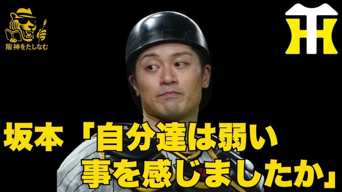 坂本は本当に本質を良く分かっている‼️強いタイガースを作る為に🔥ディベイニー、モレッタ会見で感じた事‼️#阪神タイガース＃谷端 ＃阪神タイガースたしなむ#阪神新外国人#デバニー＃阪神　春季キャンプ