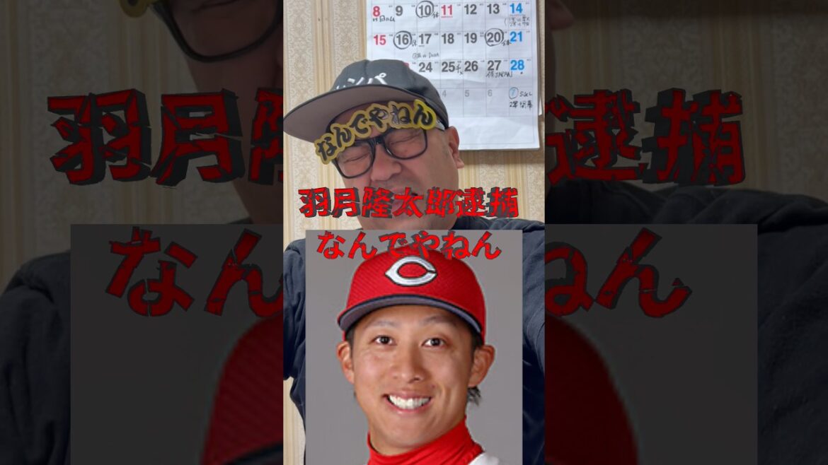 羽月隆太郎逮捕💢なんでやねん👋#広島東洋カープ #羽月隆太郎 #プロ野球　#プロ野球選手 #なんでやねん