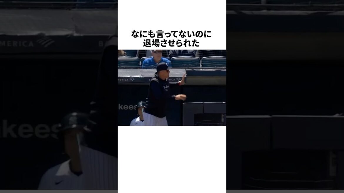 退場理由が意味不明だったブーン監督に関する雑学 #野球 #プロ野球 #野球雑学 #mlb