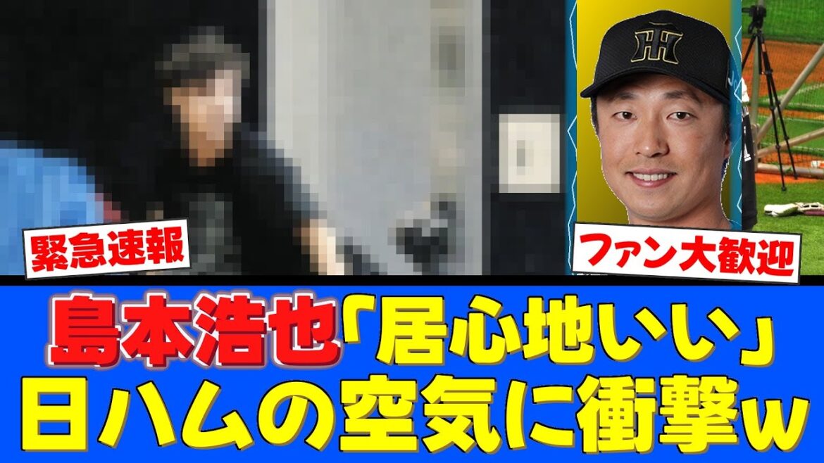 【朗報】島本浩也、日ハムの“空気”に驚くwww「思っていた通りワイワイ」