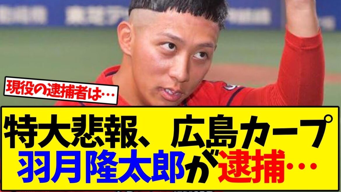 【広島カープ】悲報、羽月隆太郎が逮捕…【野球反応集】