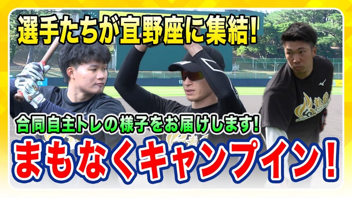 【合同自主トレ】沖縄での合同自主トレがスタート！各地で調整してきた選手たちが宜野座へ集結！2月1日からのキャンプへ向けて汗を流しました！
