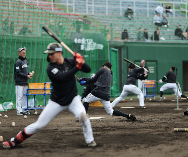 【ロッテ】都城での春季キャンプを生中継／「日テレNEWS24」「DAZN」「ベースボールLIVE」「Rakuten パ・リーグ Special」「パーソル パ・リーグTV」にて