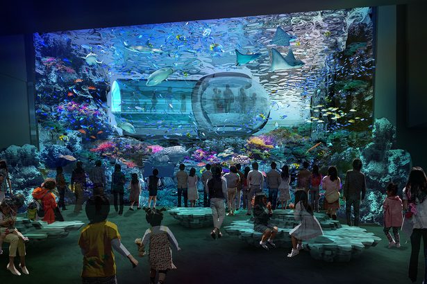 東京ジャイアンツタウンの新水族館に「国頭サンゴ」　国内最大規模の水槽に　国頭村と漁協、よみうりランドが連携協定