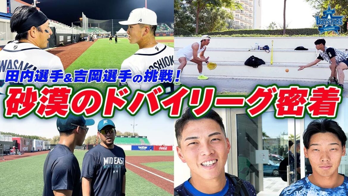YOKOHAMA-DeNA-BAYSTARS: 【武者修行】田内真翔選手と吉岡暖選手のドバイリーグ挑戦に密着!若武者の国境を超えた挑戦と成長の姿とは..!? 【武者修行】田内真翔選手と吉岡暖選手のドバイリーグ挑戦に密着!若武者の国境を超えた挑戦と成長の姿とは..!?