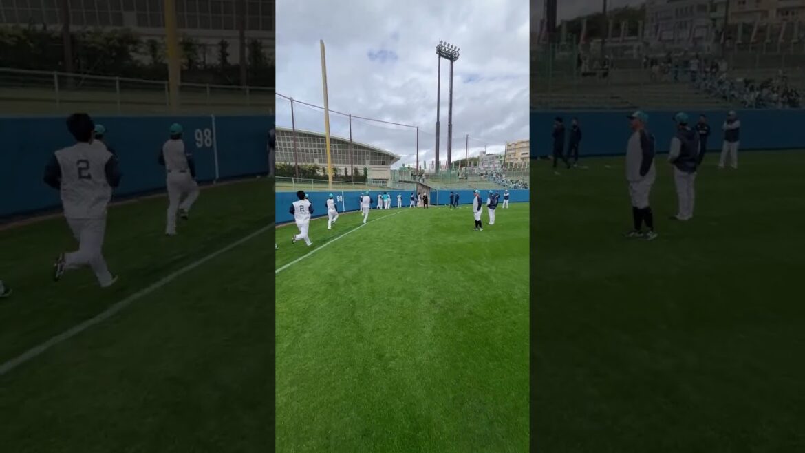 春季キャンプ初日 走って走って走りまくる!! #プロ野球  #swallows #shorts