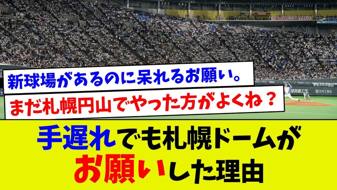 手遅れでも札幌ドームがお願いした理由【プロ野球】【エラー】【札幌ドーム】【なんj】【プロ野球スピリッツa】【村上宗隆】