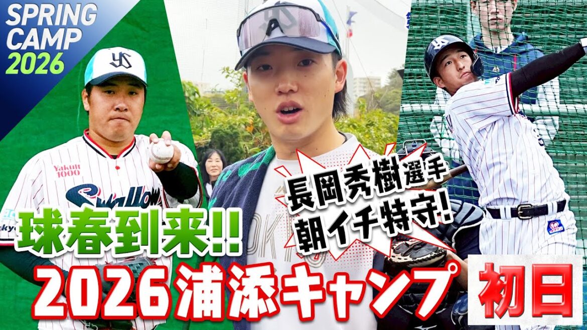 Tokyo-Yakult-Swallows: 球春到来!!2026年浦添キャンプ初日! 球春到来!!2026年浦添キャンプ初日!