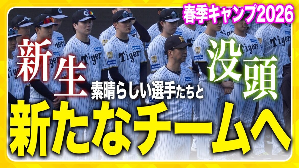 【キャンプ初日】新生藤川阪神始動！ #藤川球児 監督のもと、阪神タイガース春季キャンプが始まりました！