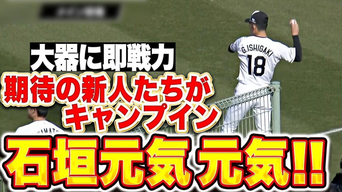 【堂々たる姿】石垣・毛利・冨士・大聖『即戦力に大器…期待のルーキーたちに胸が高鳴る！』
