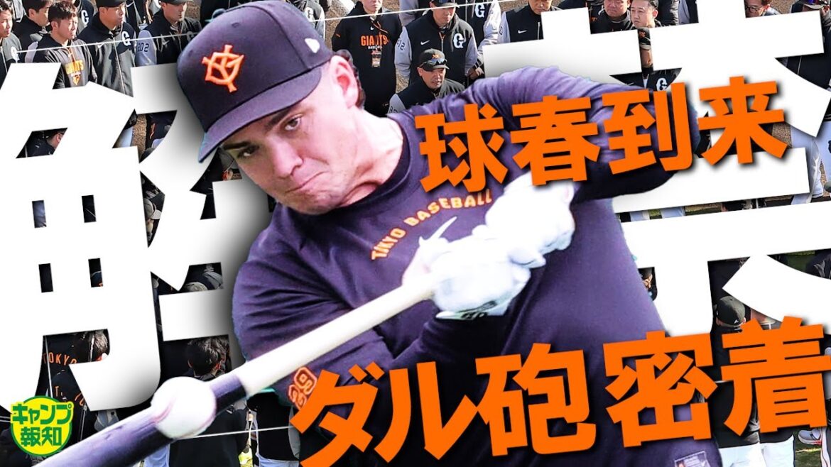 【ついにスタート】球春到来！新大砲ダルベックに初日から密着したらやっぱりスゴイです！【キャンプ報知】