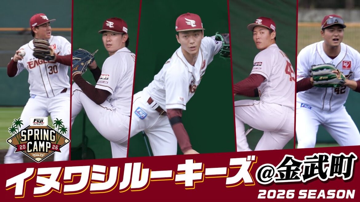【アピール開始🎇】金武キャンプ(一軍)で始動！ルーキー5選手の様子をお届け⚾🔰
