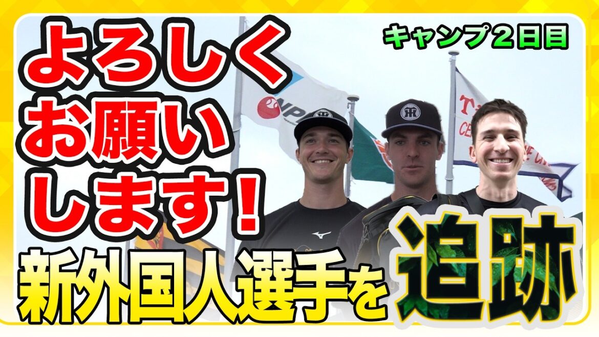 【外国人選手を追跡】今季も新外国人選手が加わりました！宜野座組３人の練習を追跡！
