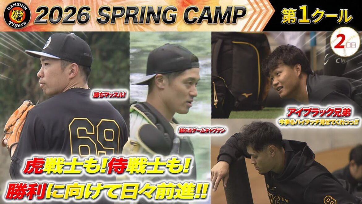 【2/2阪神キャンプ】春季キャンプ2日目！虎戦士、侍戦士、勝利に向かって前進するのみ！