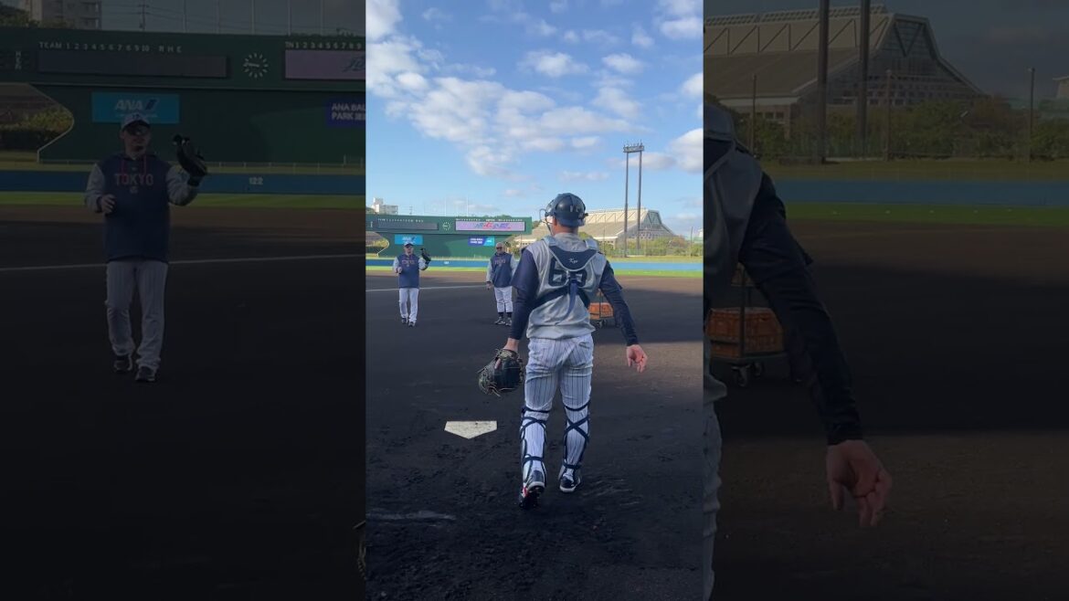 鈴木叶選手、朝イチから特守! 2026浦添キャンプ第1クール3日目 #鈴木叶 #swallows #shorts