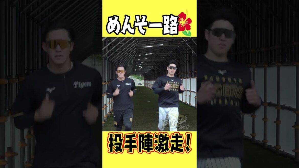 【めんそー路】ピッチャー陣が新設備で走りまくる！雨も風も日差しも防げる優れもの！#shorts #虎バンチャンネル #阪神タイガース