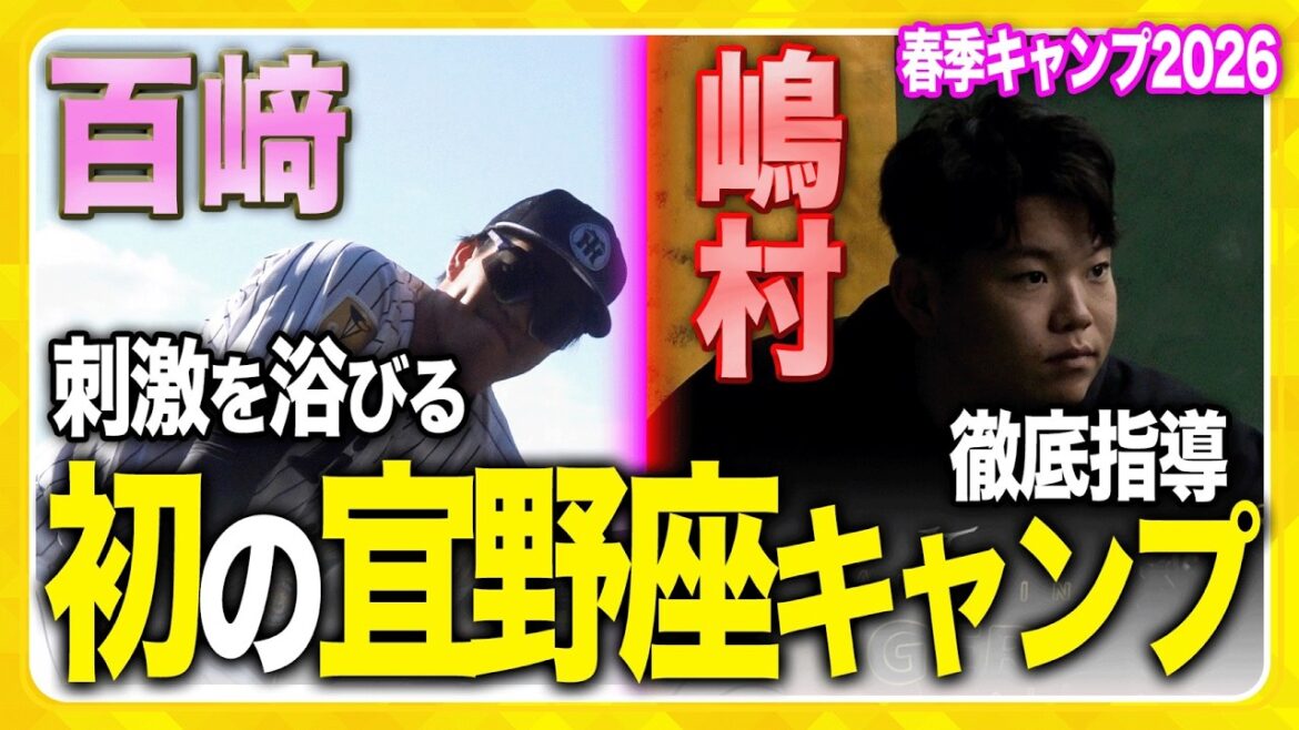 【初の宜野座キャンプ】#百﨑蒼生 選手、#嶋村麟士朗 選手が今季から初の宜野座キャンプスタート！選手やコーチ陣からの徹底指導を受ける一日をお届け！最後には新外国人選手による豆まきの様子も！