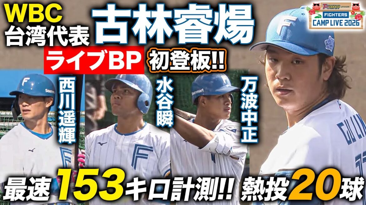 古林睿煬ライブBP初登板!西川遥輝&万波中正らを相手に安打性0 WBCで大谷翔平との対戦を熱望<2/3ファイターズ春季キャンプ2026> 古林睿煬ライブBP初登板!西川遥輝&万波中正らを相手に安打性0 WBCで大谷翔平との対戦を熱望<2/3ファイターズ春季キャンプ2026>