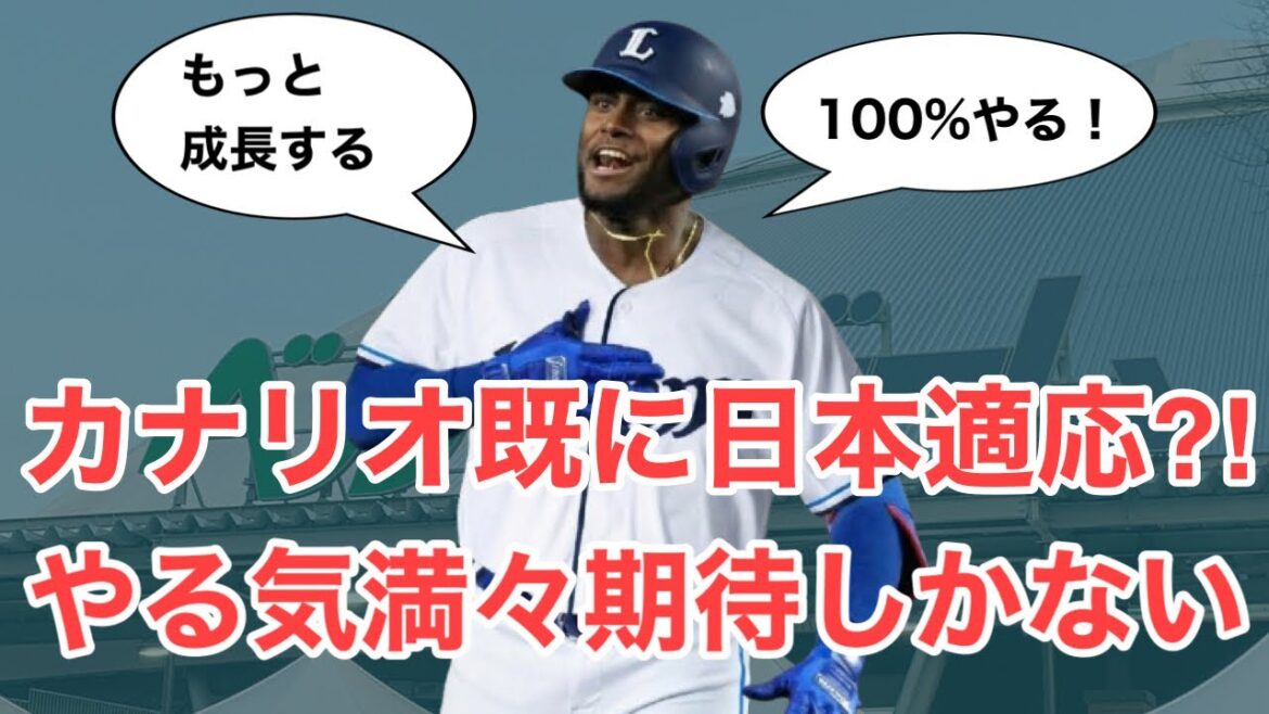 【西武】カナリオがいきなり日本に適応か！？やる気満々すぎて期待しかない件