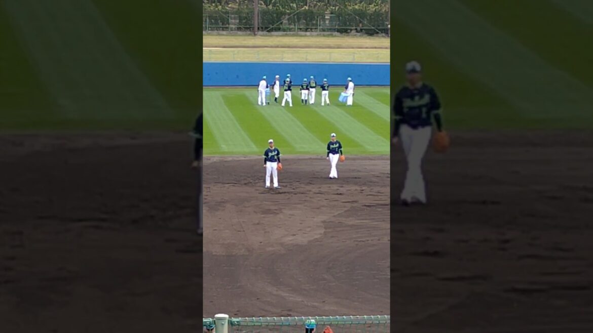 目指せ鉄壁の内野陣‼️　#東京ヤクルトスワローズ 　#春季キャンプ 　#沖縄 　#浦添 　#shorts  　#燕征 　#燕心全開 　