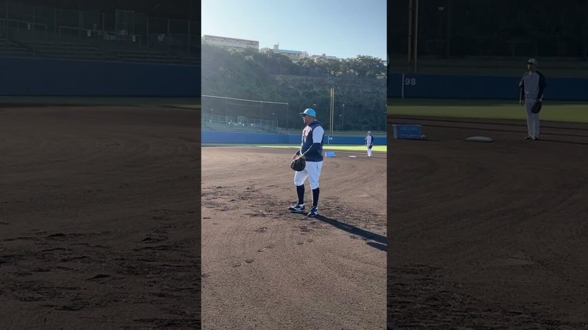 今日はオスナが朝イチ特守！ 2026浦添キャンプ第1クール4日目 #オスナ #swallows #shorts