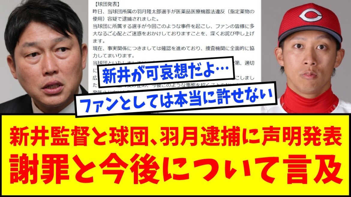 新井監督と球団が羽月隆太郎容疑者逮捕に声明発表、謝罪と今後について言及【なんJ反応】【ネットの反応】【広島カープ】