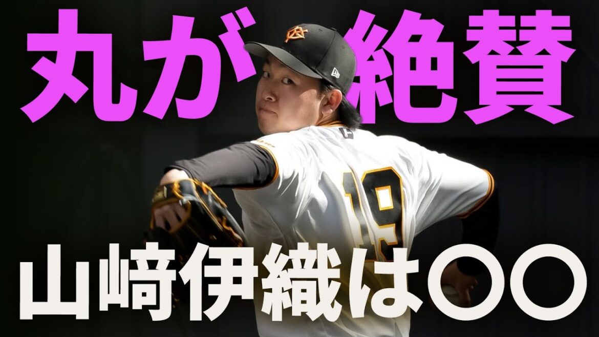 丸が絶賛！山﨑伊織は〇〇！