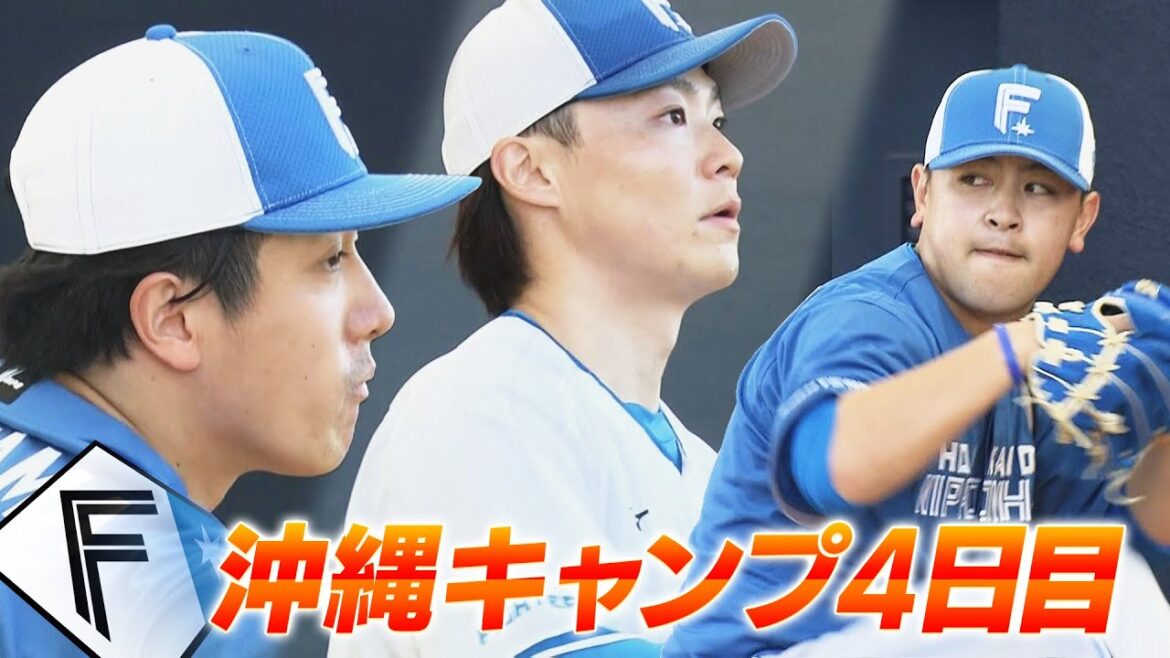 【ファイターズ】第１クール最終日！達投手は７４球の熱投＆水谷選手は高速打撃練習！