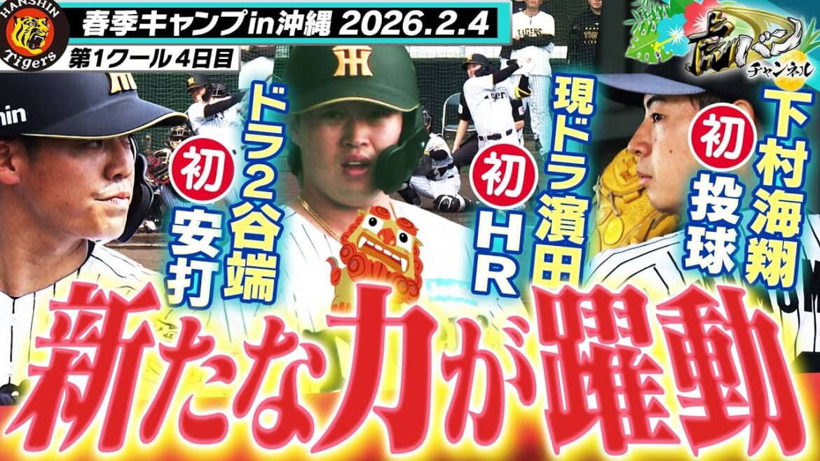 【楽しみ過ぎる】谷端が初安打！濱田がチーム初HR！下村が初ブルペン！虎の新戦力が猛アピール！阪神タイガース密着！応援番組「虎バン」ABCテレビ公式チャンネル