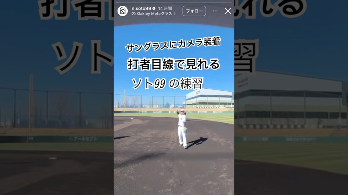 ソトの目線カメラ キャンプでの練習 千葉ロッテマリーンズ 春季キャンプ ロッテのキャプテン ソト # #野球 #野球部 #少年野球 #プロ野球 #chibalotte #ネフタリソト # #short