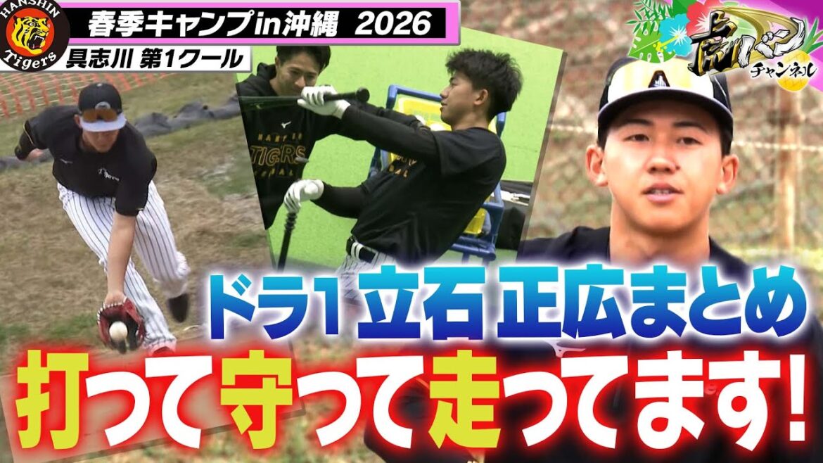 【立石まとめ】ファンも気になるルーキーのキャンプは！？打って守って走って！具志川キャンプで汗を流す姿をご覧ください！阪神タイガース密着！応援番組「虎バン」ABCテレビ公式チャンネル】