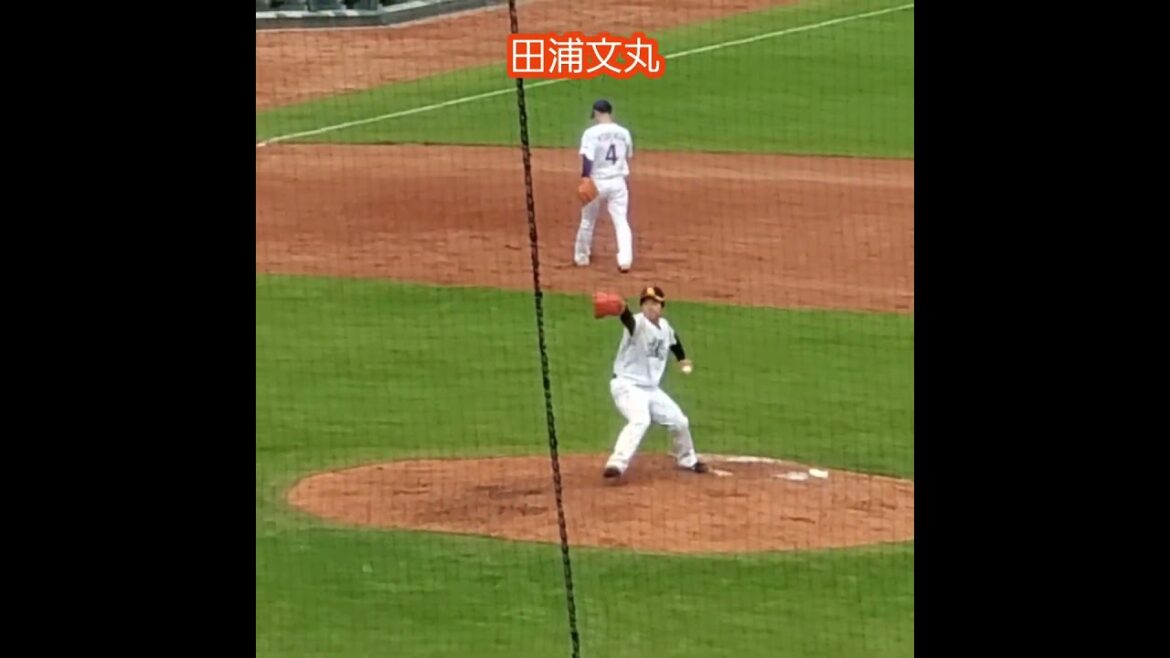 20251112　#田浦文丸　#投球練習　#shorts　投球ﾌｫｰﾑ　@MAZDA Zoom-Zoom ｽﾀｼﾞｱﾑ広島［ｴｲﾌﾞﾙ ﾄﾗｲｱｳﾄ2025］