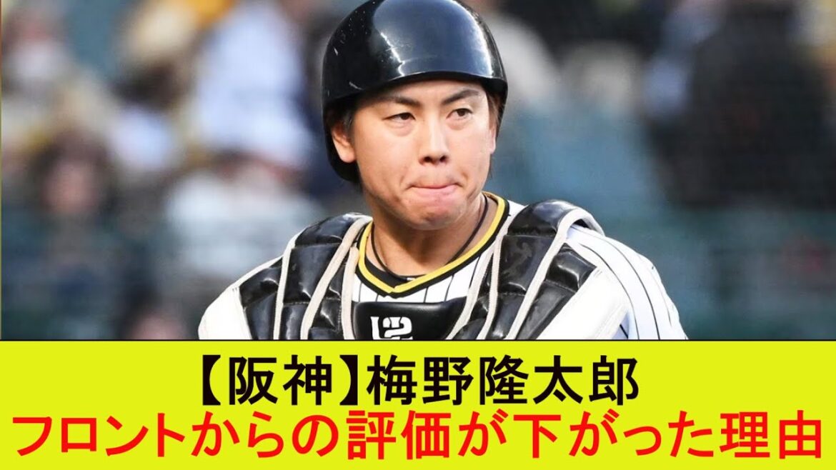 【阪神】梅野隆太郎、フロントからの評価が下がった理由【なんJ/プロ野球/2ｃｈ/5ｃｈ/反応/まとめ】