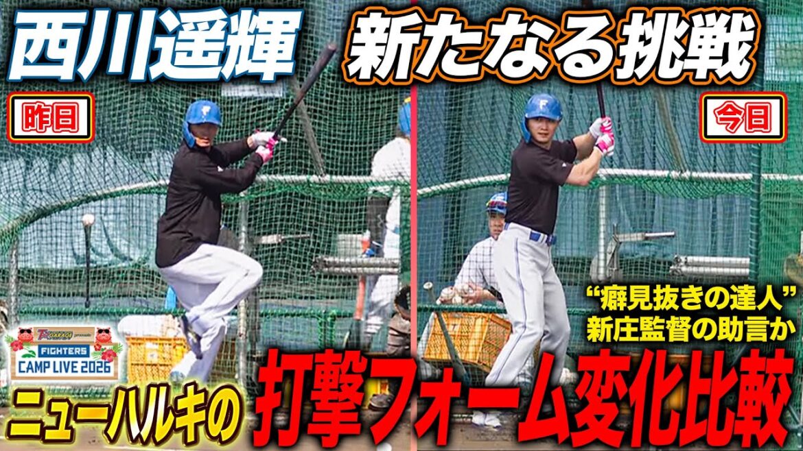 【昨日から変化】西川遥輝がバッティングフォームを模索中！新庄監督からアドバイスか!?西川遥輝自身を比較＜2/4ファイターズ春季キャンプ2026＞
