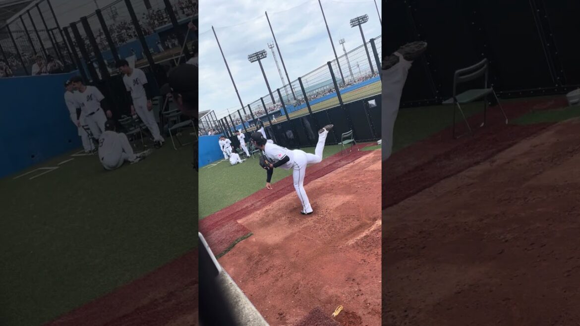 二木康太　ブルペン